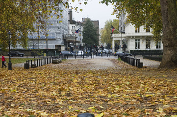 Autumn at Hyde Park