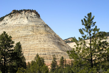 Obraz premium Checkerboard Butte in Zion National Park Utah