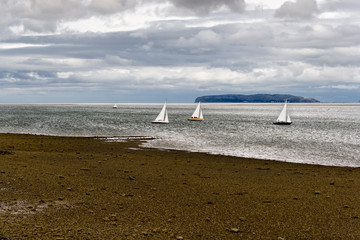 Sailboats in Anglesey, Wales
