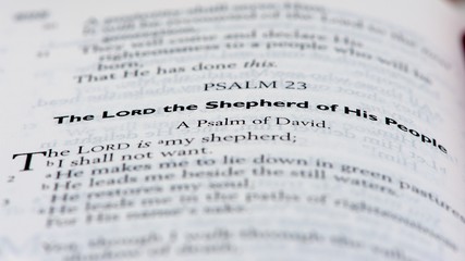 The Lord the Shepherd of His People