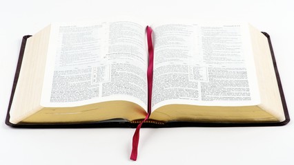 Open Bible