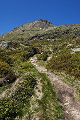 Fototapeta na wymiar mountain path