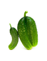 cucumber on a white background