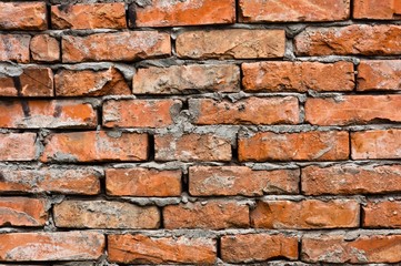 Obraz premium Abandoned brick wall