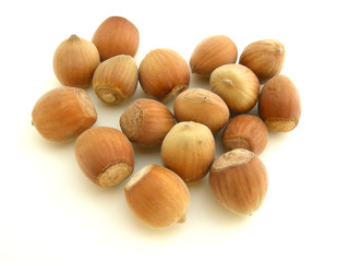Haselnüsse vor weißem Hintergrund