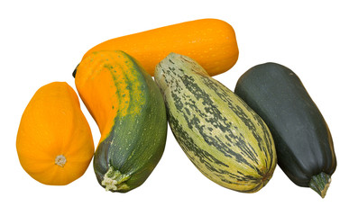 Vegetable marrows 37