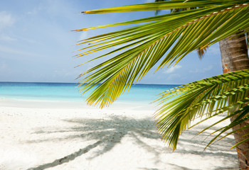 Fototapeta na wymiar Maldives beach background