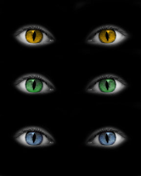 Yeux bleus jaunes verts catwoman - fond noir