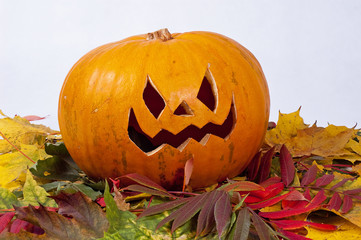 Halloween pumpkin with autumn leaves