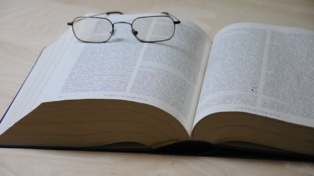 Buch lesen