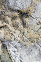 abstract stone detail