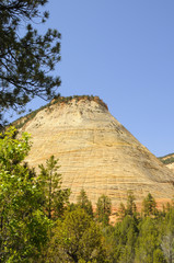 Fototapeta na wymiar Checkerboard Butte in Zion National Park Utah