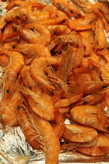 Prawns