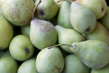 background with lots of green pears