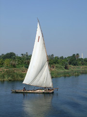 Obraz premium Nile scenery with felucca