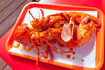Grilled large lobster in mexican restaurant