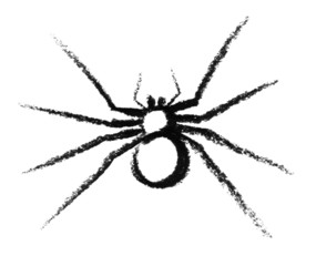 sketched spider