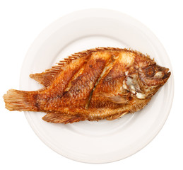 Fried fish in white plate
