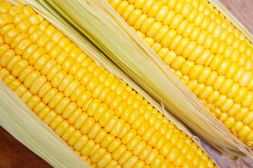 Bright color sweet corn