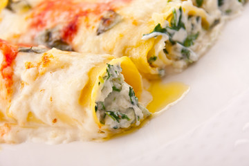 Cannelloni