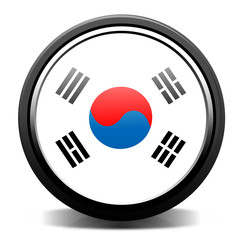 South Korean flag button