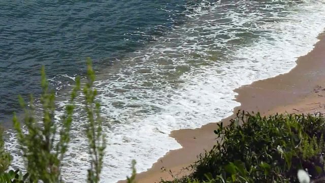un mare di gioia