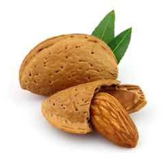 Dried almonds in closeup