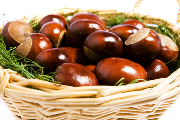 chestnuts in the wicker basket isolated on white close-up
