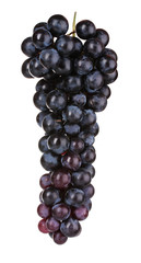 Ripe red grapes isolated on white