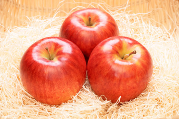 サンつがる林檎