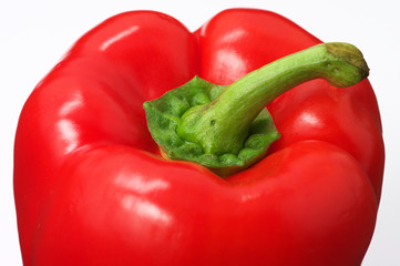 Red Bell Pepper