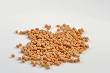 Yellow Mustard Seed