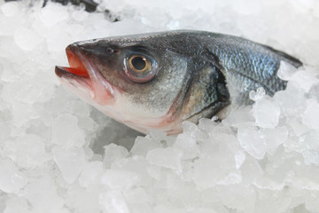 fresh fish on ice