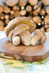 autumn fruits of the wood