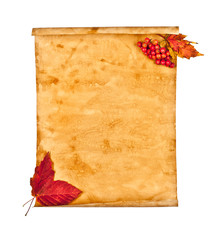 Old paper with autumn leaves, autumn note
