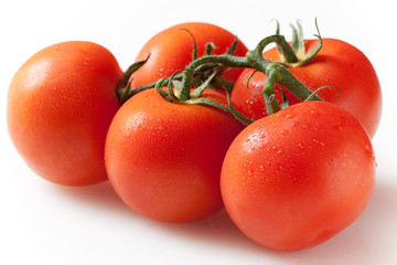 Fresh tomatoes on branch in water drops