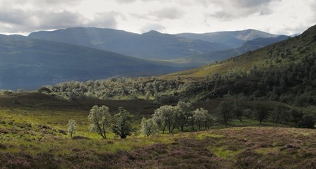 Creag Meagaidh National Nature Reserve
