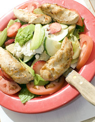 garden salad fruit chicken fillet