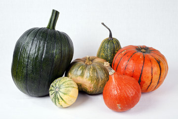 Kürbisse isoliert auf Weiß