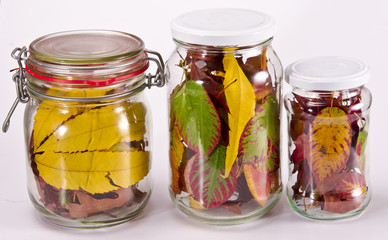 Eingeweckte Herbst für Winter