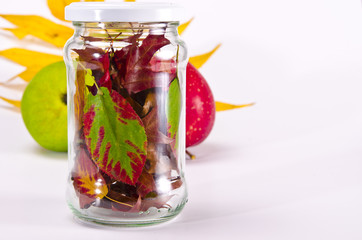 Eingeweckte Herbst für Winter