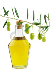 Olive oil and branch of an olive tree