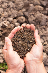 Soil in hands