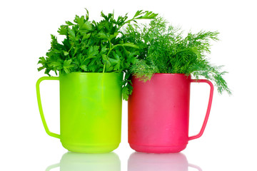 fresh parsley and dill in cups isolated on white