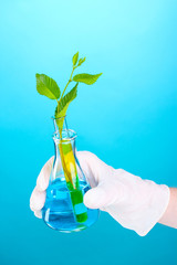 test tube with plants and hand on blue background