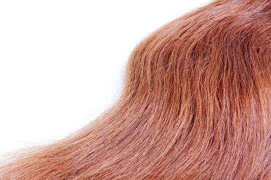 Textura de un pelo rojo