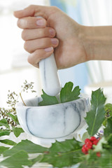 Phytothérapie - Préparation