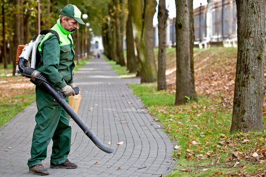 Landscaper removing dead leaves using Leaf Blower