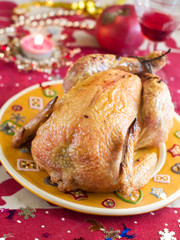 chicken