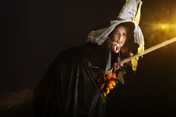 halloween witch flying on her broom